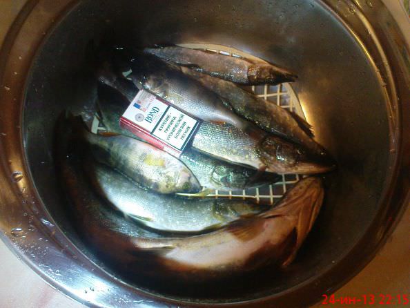 24 2013,.,  2.633 ,   149  (2).jpg